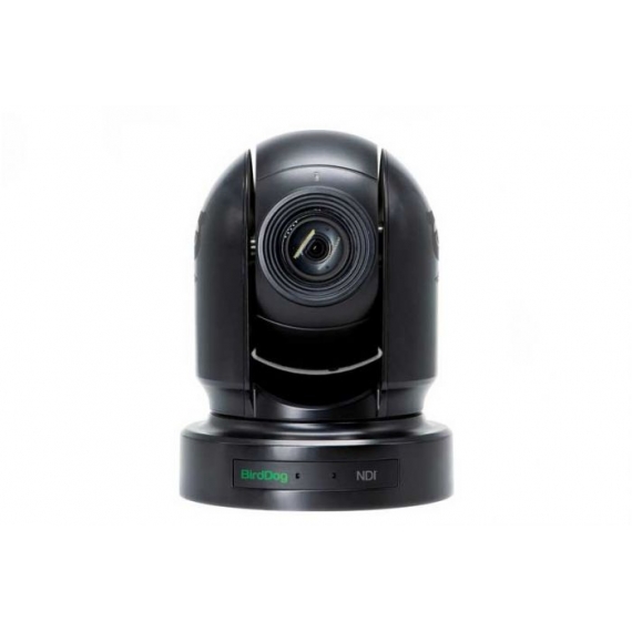 Hire Birddog P200 NDI PTZ Camera