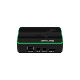 BirdDog Flex 4k Out Unit, Model Flex with Power Supply
