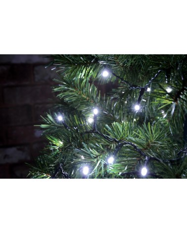 Lyyt 200 LED String Lights with Timer Control CW