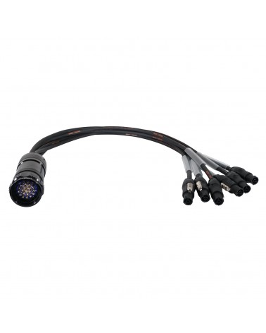 Socapex 19-Pin Male - PowerCON True1 1.5mm Fan-Out Cable